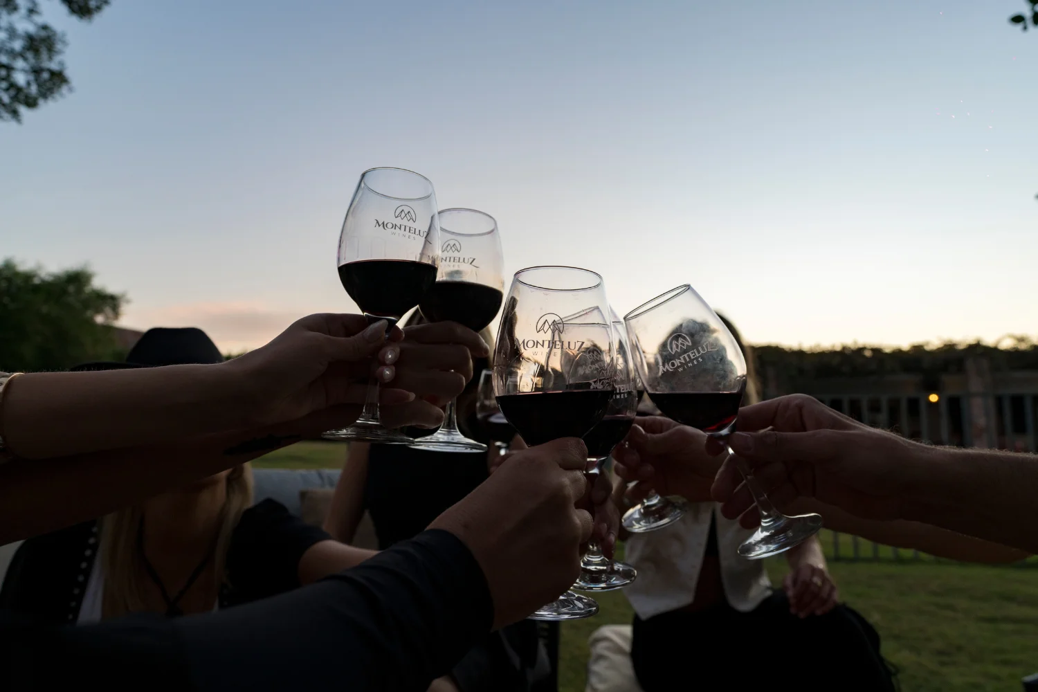 Brindis con vino al atardecer